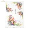 bratek, kolorowe bratki, kwiat, ogród, łąka, wiosna, autorka grafiki Maria Kopeć, R899, pansy, colourful pansies, flower, garden, meadow, spring, Stiefmütterchen, bunte Stiefmütterchen, Blume, Garten, Wiese, Frühling, pensamiento, pensamientos de colores,